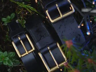 Three black colored belts in the midst of some forest plants. There are some small sparkling lights at the top right and bottom corner of the photo.