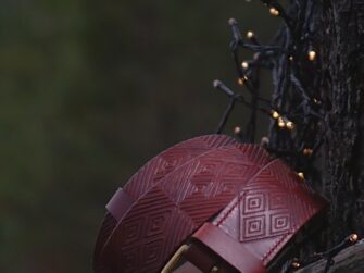 Red toned belt is set onto the dark brown tree branch, surrounded by some sparkling little lights. There is lot's of deep green colors on the background which comes from the forest trees.