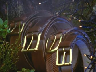 Belts are set in a row towards the camera, leaning to the tree trunk on the forest floor. Leather goods are surrounded by forest plants and there are some decorative small sparkling lights on the top and right part of the photo.