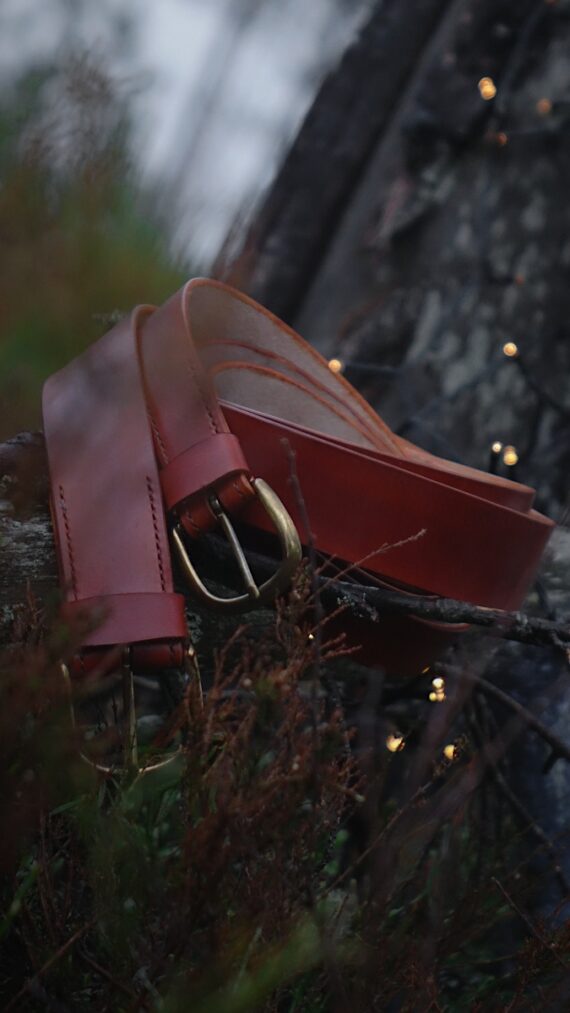 Belts are placed onto the fallen tree trunk in the midst of green and red-brown forest plants. Some small sparkling electrical lights have been used to decorate the scene so there are small little lights surrounding the belts from the right side of the image. On the left upper side of the image there are also some farther threes vaguely visible through the bokeh effect and it gives a nice deepness to this photo.