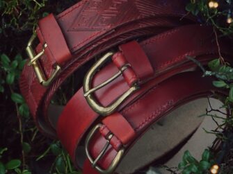 Three darker mahogany tone belts in the midst of dark green forest plants. There are few little sparkling lights on the right top corner.