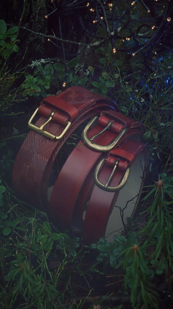 Three darker red tone belts in the midst of dark green forest plants. There is a curious blueish light coming from the top right corner and also some little yellow lights on the top right corner. Photo has a bit smokey effect.