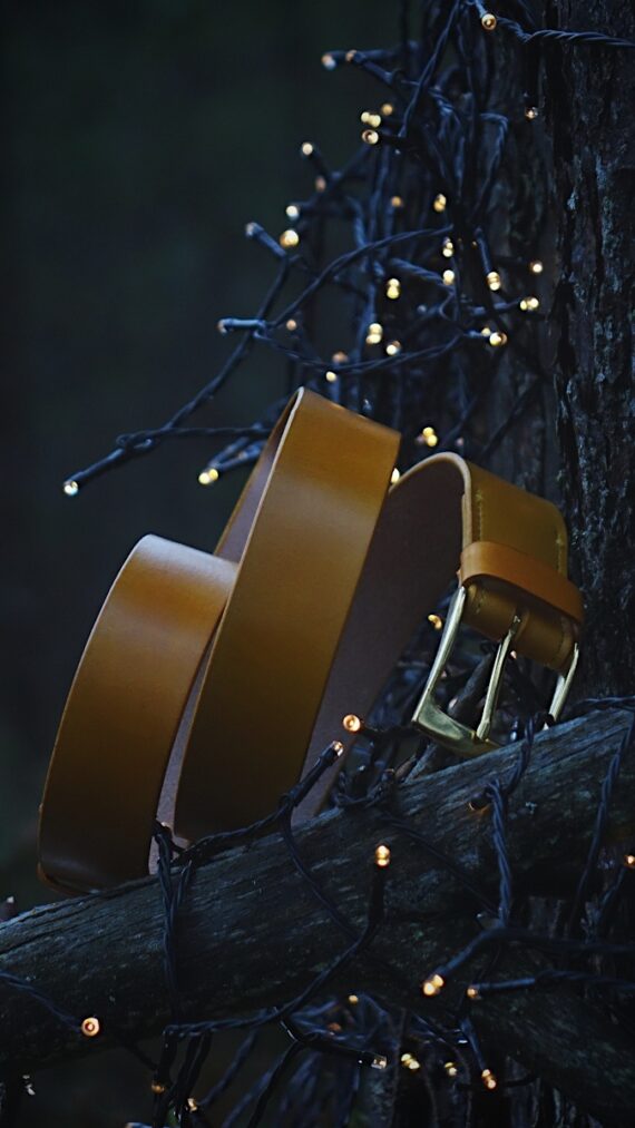 Photo is taken in the darkening forest where the belt is set onto the fallen tree. The whole scene surrounding the yellow belt is a bit blue toned. Some small sparkling lights in the background and foreground give it a nice warmer feeling.