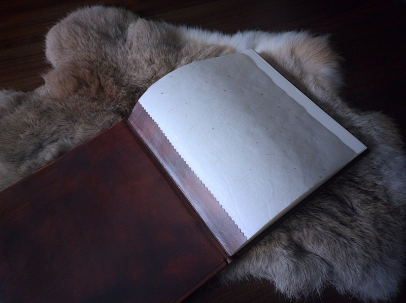 Book is placed onto furry rabbit skin. Photo presents the inner side of the book when first opened.