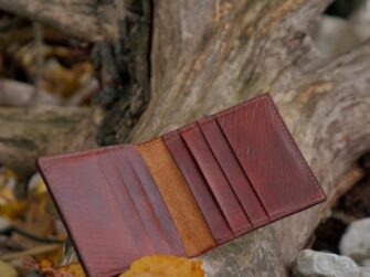 Opened card wallet is placed onto tree branches, surrounded by some yellow leaves.