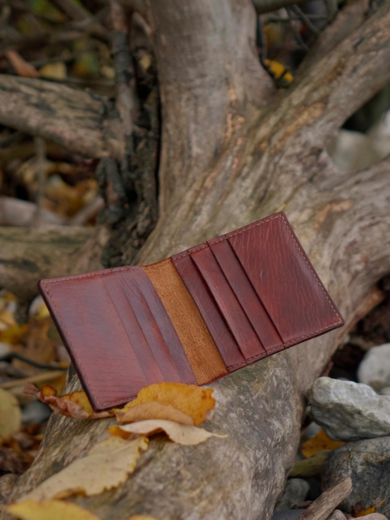 Opened card wallet is placed onto tree branches, surrounded by some yellow leaves.