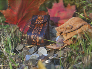 Coin pouches with wooden button