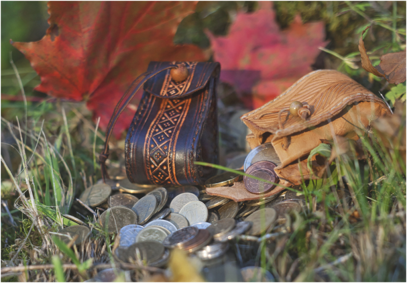 Coin pouches with wooden button