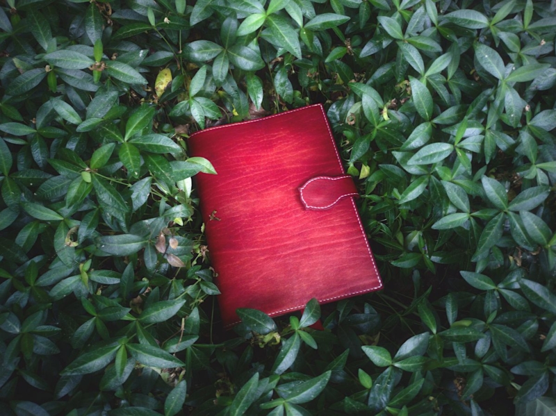 Red leather notebook covers in the midst of dark green shadow plants.