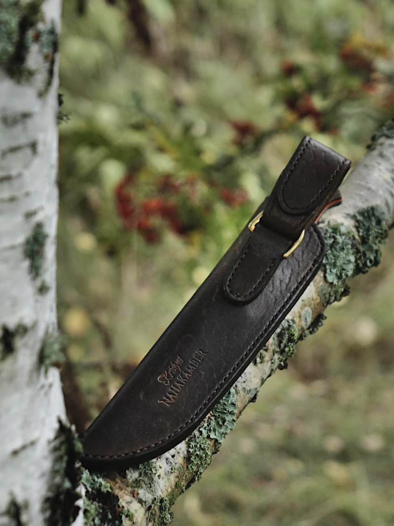 Knife sheath in on the white birch branch, red and green colored rowan branches on the background. The focus of this photo is on the back side of the sheath.