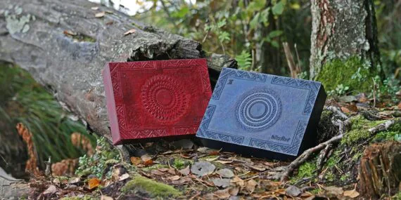 Large boxes in mahogany and blue are set onto the forest ground by the fallen and broken tree trunk. Both boxes have decorated beautiful lids. There are leaves all over the ground and some moss is visible between the tree roots.