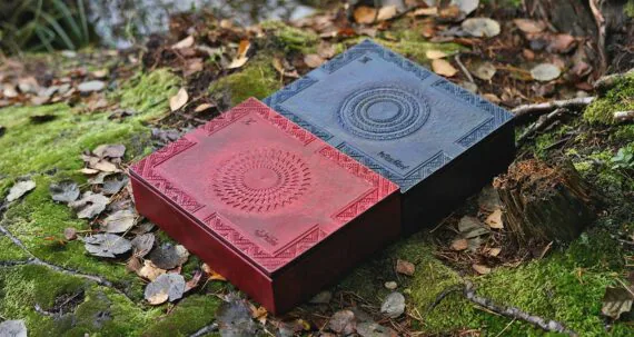 Large boxes in mahogany and blue are set side by side onto the forest ground. There are leaves all over the ground and some moss is visible between the tree roots.