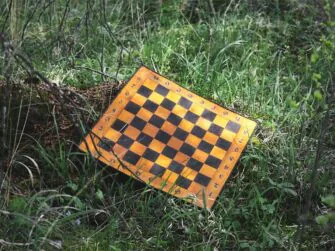 Leather chess board is placed onto the grass, near to the tree. The chess board is made in yellow and dark brown.