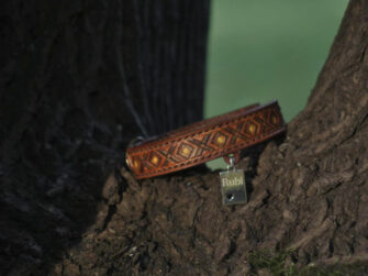 Collar is placed on the tree branch which has interesting rough bark.