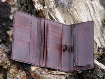 Large wallet opened on the ground, beside light old fallen tree.