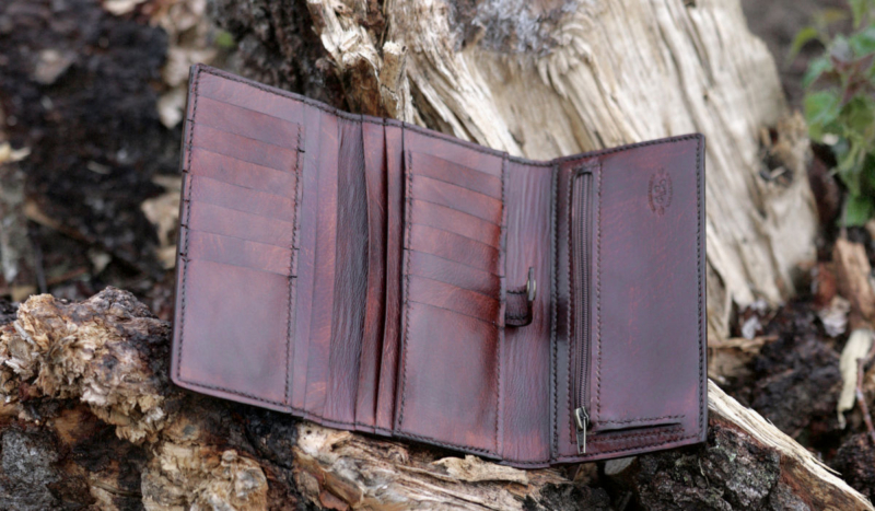 Large wallet opened on the ground, beside light old fallen tree.