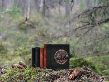 Leather wallets on mossy forest floor.