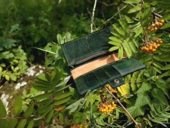 Opened wallet placed onto tree branches. Lots of green leaves and berries around it.