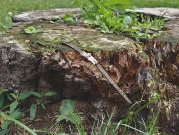 Käeehe on asetatud huvitavalt pehkinud kännule, mille ümber kasvavad murututid ning mõned suuremad lehed.